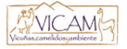 VICAM