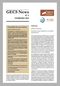 Newsletter 5