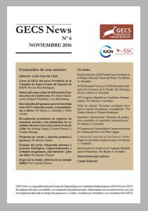 Newsletter 6