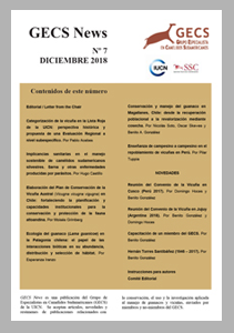 Newsletter 7